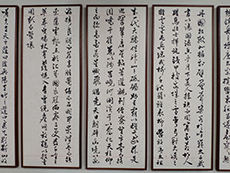 书法培训中屏条是什么？